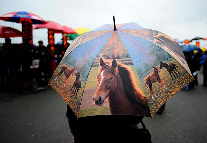 Crowhurst: A wet day at Punchestown racecourse