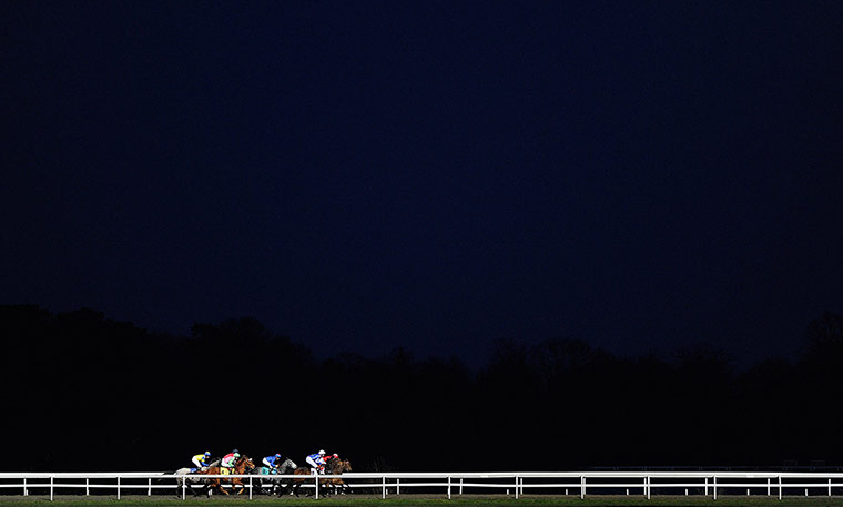 Crowhurst: Runners race down the back straight