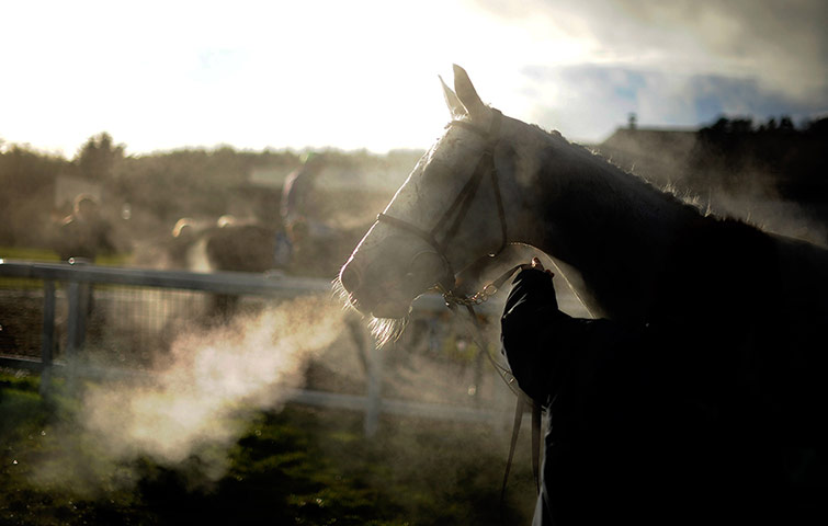 Crowhurst: A horse breathes heavily after finishing