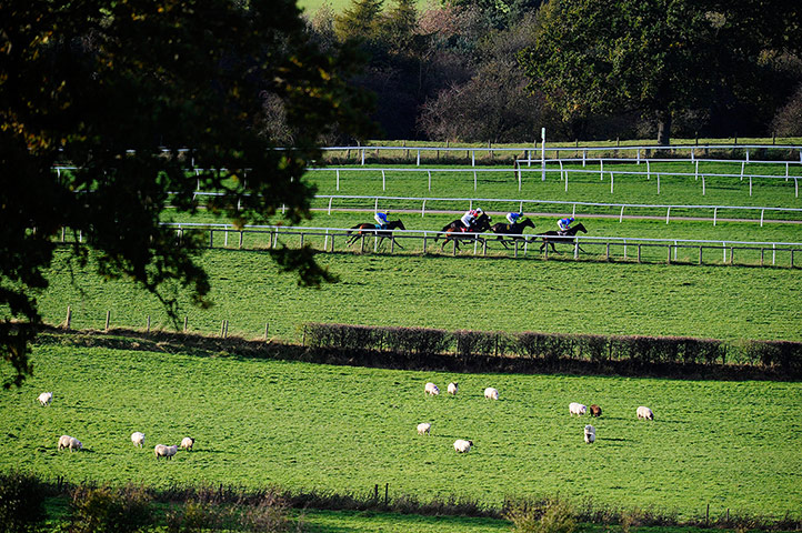 Crowhurst: Runners race down the back straight at Carlisle racecourse
