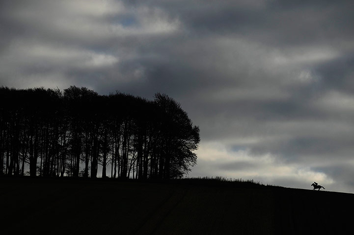 Crowhurst: A horse makes its way up the gallop at Seven Barrows Stables