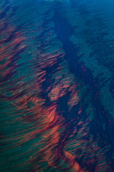 Spill: Daniel Beltra book on Deepwater oil spill pollution