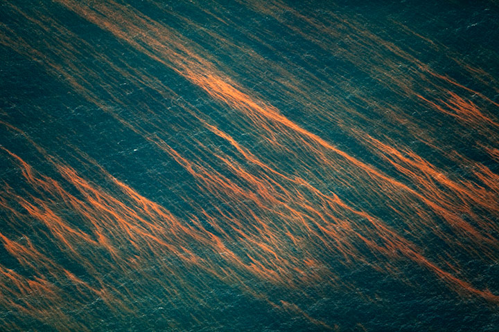 Spill: Daniel Beltra book on Deepwater oil spill pollution