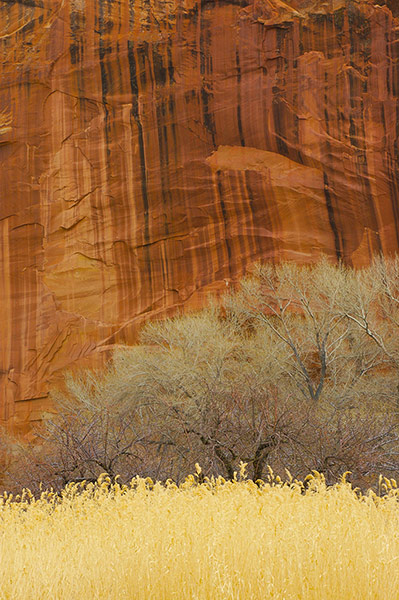 2013 year in science: Capitol Reef National Park
