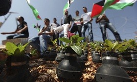 Palestinian activists stand near roses planted