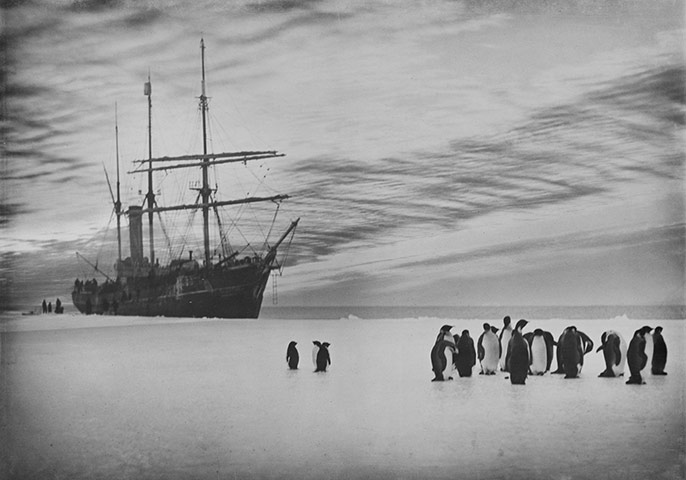 AAE: Australasian Antarctic Expedition