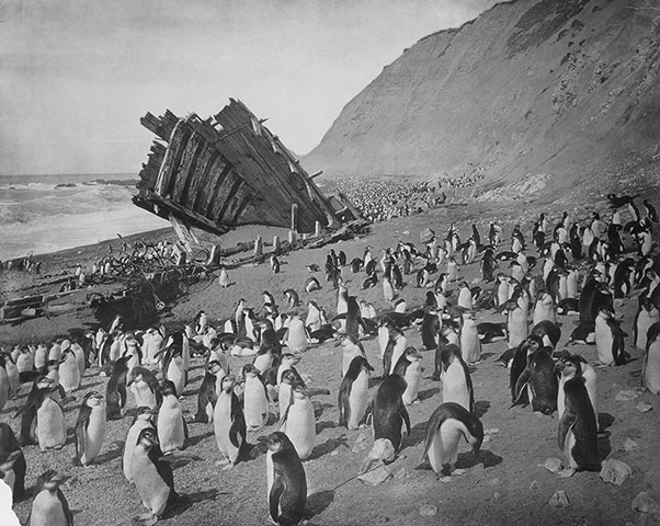 AAE: Australasian Antarctic Expedition