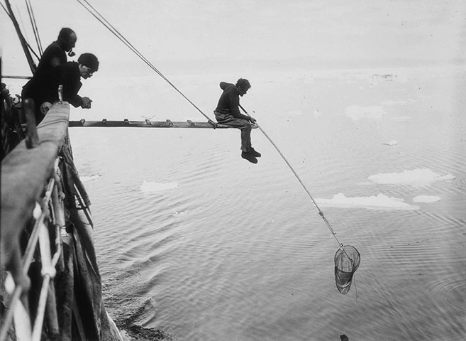 AAE: Australasian Antarctic Expedition