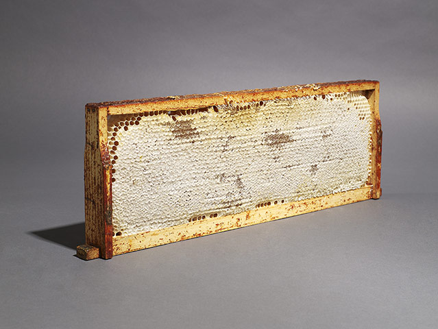 Gifts over £50: Ling honeycomb frame