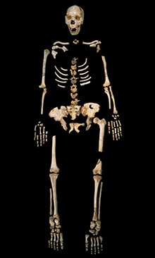 Scientists managed to analyse DNA found in the thigh bone of this skeleton found in Spain