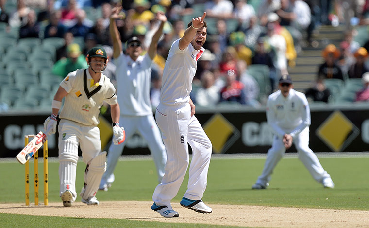 Ashes: The Ashes 2013-14 - Second Test