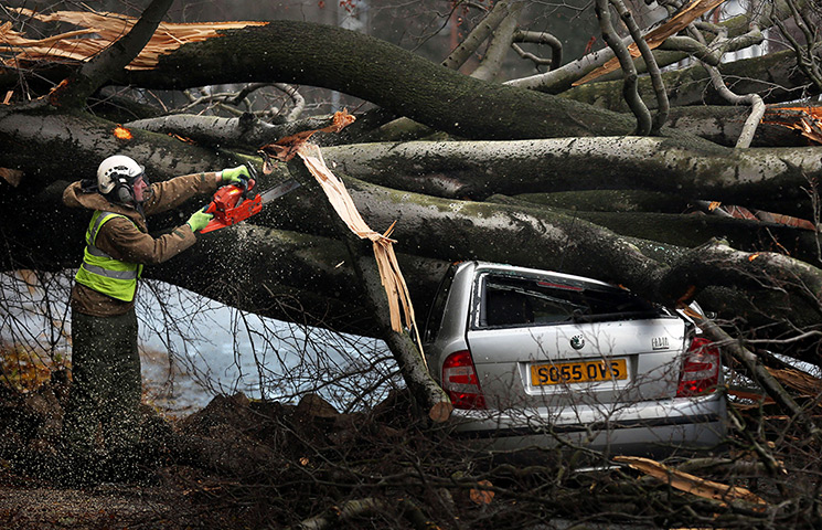 Weather : A tree lands on a car in Davidsons Mains, Edinburgh