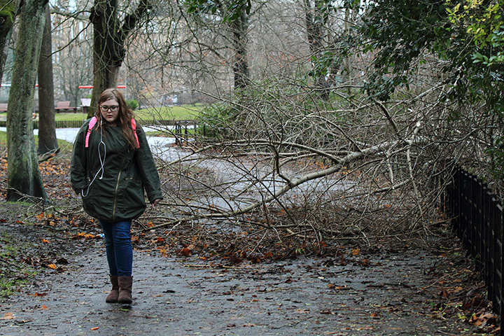 Weather: A woman walks by a fallen branch on Kelvin Way, Kelvingrove Park in Glasgow