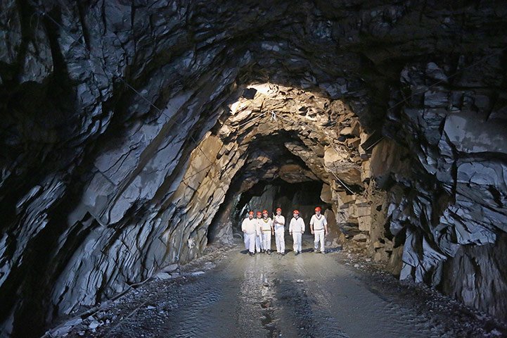 cricket: World's First Underground Cricket Match