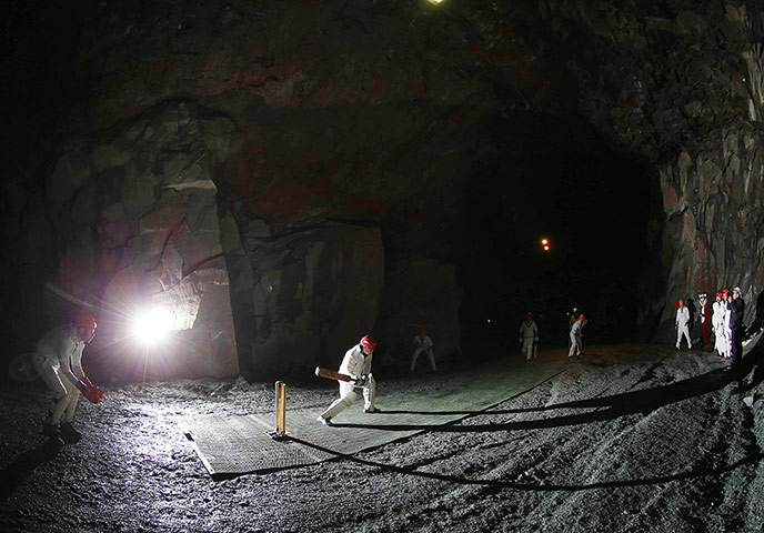 cricket: Cave cricket in Borrowdale