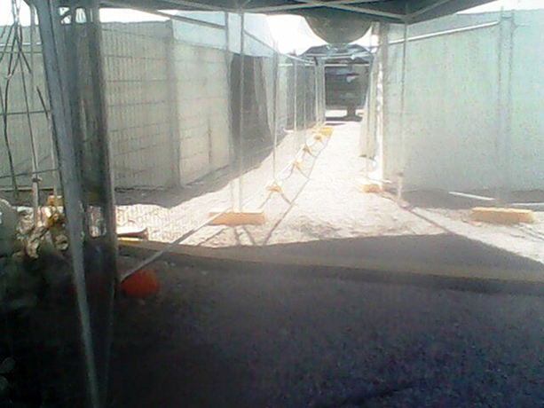 Nauru gallery: Nauru gallery