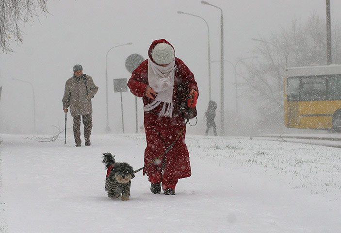 Storm Xaver update: A woman walks her dog during heavy snowfall in Olsztyn, Poland