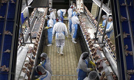 Supermarket chicken Brazil