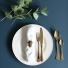 Interiors: cool for yule: Rose & Grey gold cutlery