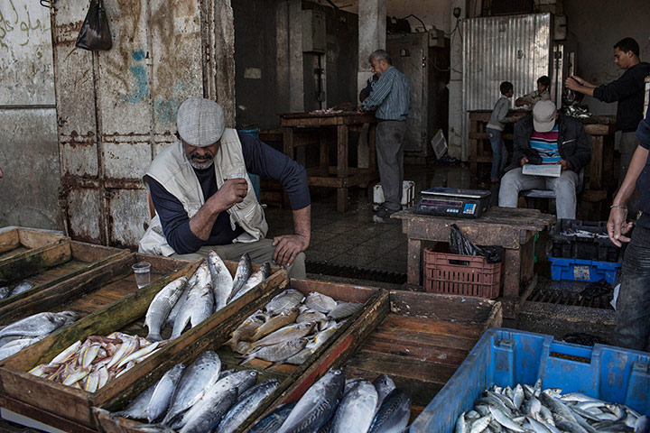 Gaza fishermen: Half-empty fish shop in Gaza City’s main market