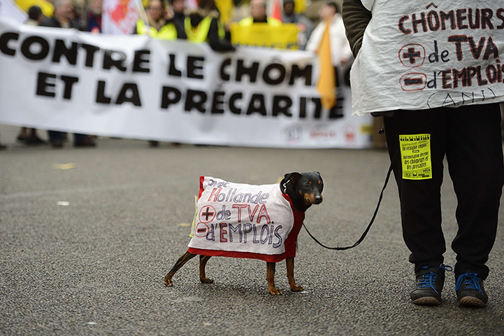 Weekend in pictures: Paris, France: A dog wears a coat which reads 