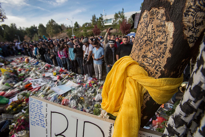 Paul Walker memorial: Messages left by fans on a tree 