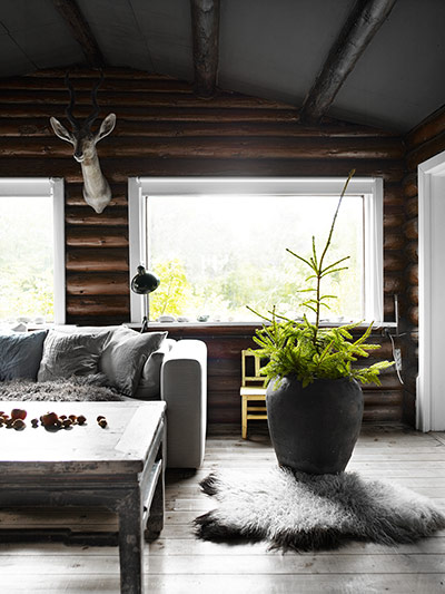 Homes - Nordic: Living room in Nordic style with sofa and large potted plant