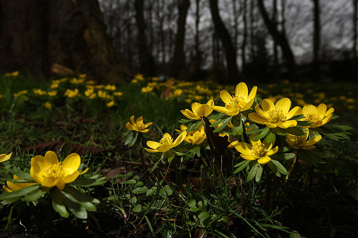 Week in Wildlife: Winter weather Jan 29th