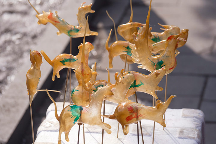 Chinese New Year: Animal figures made from blown molten sugar 