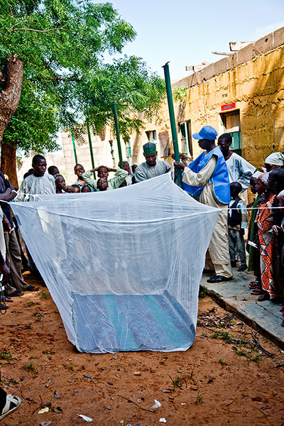 Malaria gallery: Malaria and infectious diseases