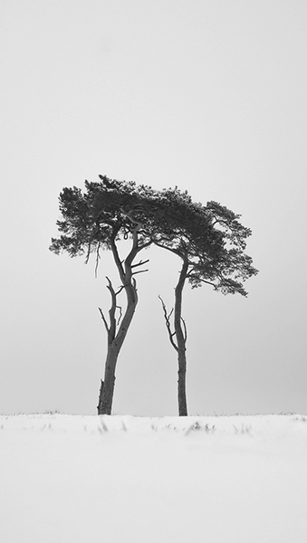 Guardian Camera Club: A review of Malcolm Anderson's portfolio