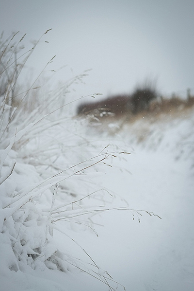 Guardian Camera Club: A review of Malcolm Anderson's portfolio