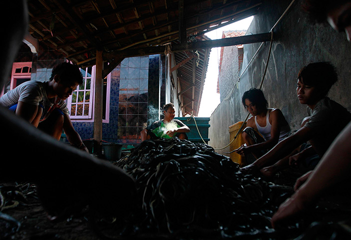 FTA: Beawiharta: Workers use pairs of scissors to cut the skins of snakes 