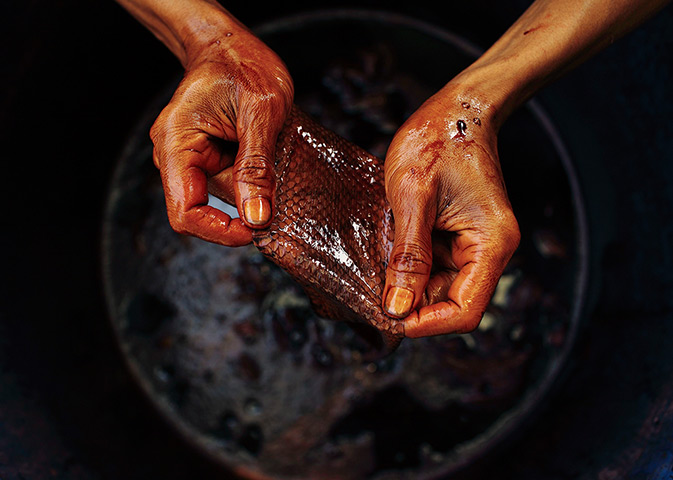 FTA: Beawiharta: A worker holds a piece of snake skin 