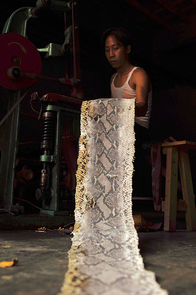 FTA: Beawiharta: A worker sews a strip of snake skin at a factory