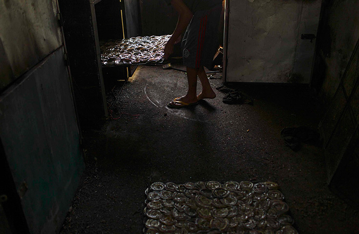 FTA: Beawiharta: A worker put tray of snakes into an oven for drying