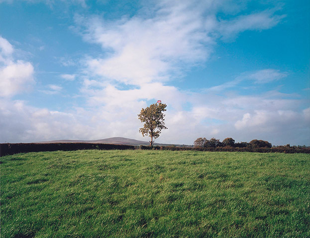 Landscape at the Tate: Paul Graham, Union Jack Flag in Tree, County Tyrone, 1985