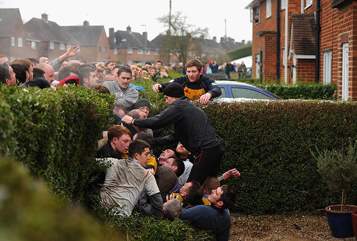 Ashbourne Shrovetide : Hedge down
