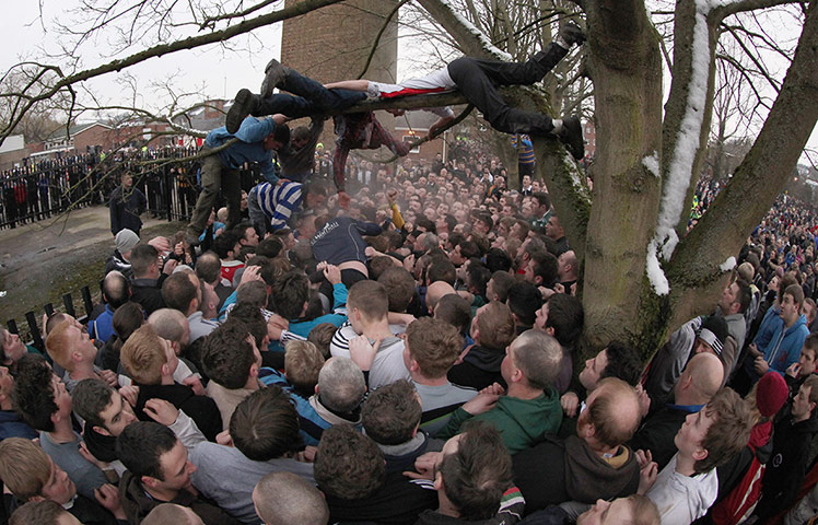 Ashbourne Shrovetide : Tree climbing
