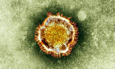 Sars coronavirus