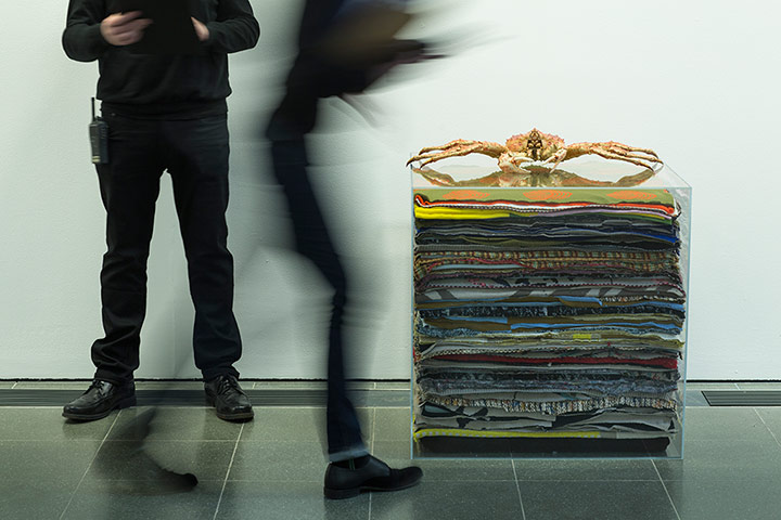 Rosemarie Trockel: Lucky Devil, 2012