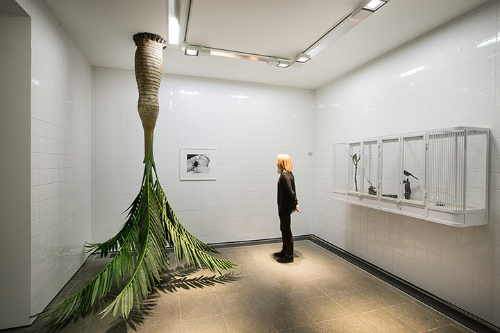 Rosemarie Trockel: As Far as Possible, 2012