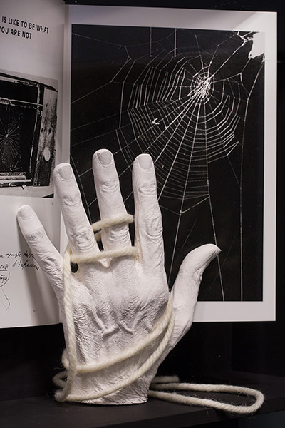 Rosemarie Trockel: A cast of Jane Goodall's right hand