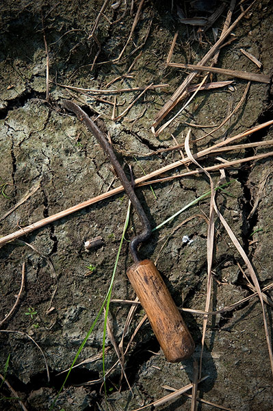 Original Observer: Rice #1