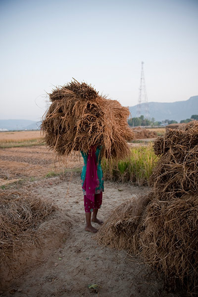 Original Observer: A young woman carries a stack of straw