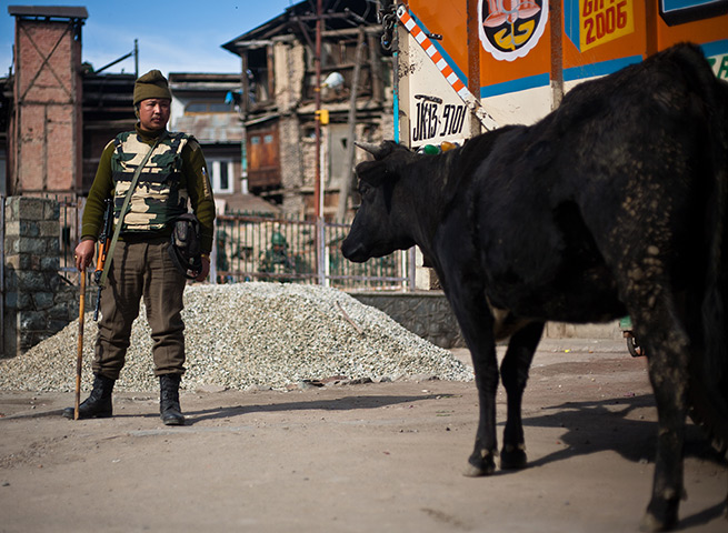 24 hours: Srinagar, Kashmir, India: A paramilitary soldier guards deserted streets