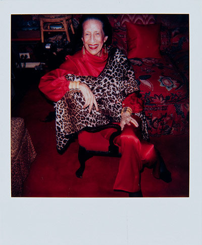 Warhol Photography: Diana Vreeland