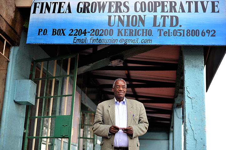 Fairtrade tea: Fairtrade tea