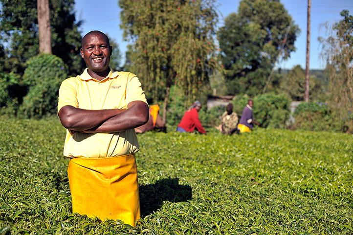 Fairtrade tea: Fairtrade tea