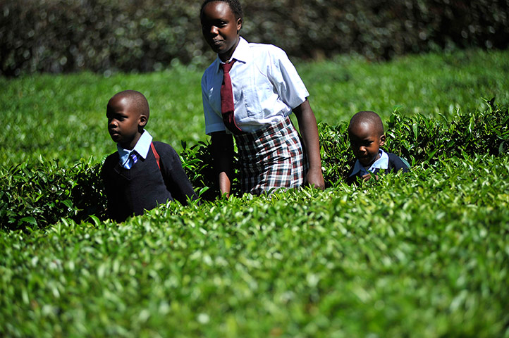 Fairtrade tea: Fairtrade tea